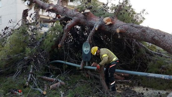 La ventada es reforça amb ratxes de més de 80 km/h i els Bombers acumulen 110 avisos