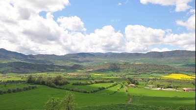 El Programa de Desenvolupament Rural de Catalunya va executar un total de 121,1 MEUR durant l'any 2020