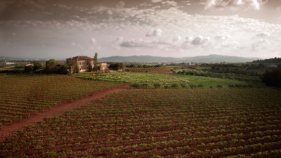 El Consell Comarcal del Baix Penedès fa balanç positiu de la campanya BAIX PENEDÈS, Et toca! Hivern 20-21