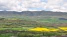 El Departament d'Agricultura abona més de 14M€ d'ajuts directes associats de la campanya 2020