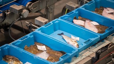 Creix el consum de peix durant la pandèmia