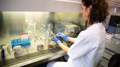 Unes hores més per decidir si hi ha noves restriccions