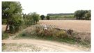 L’Arboç realitza treballs de geolocalització i eliminació de ruscs contra la proliferació de la vespa asiàtica a les rieres de la vila