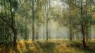 Disminueix el nombre de visitants als parcs naturals de Catalunya