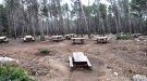L'Àrea recreativa forestal del Montmell continua tancada per a l'ús lúdic també durant la Setmana Santa