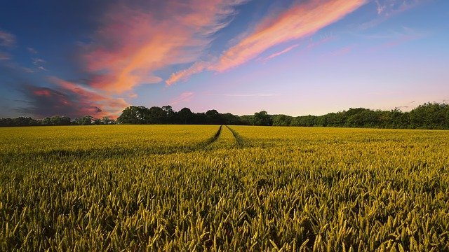 El Departament d'Agricultura impulsa la cooperació dels Grups d'Acció Local Leader de Catalunya amb la convocatòria d'ajuts corresponents a 2021