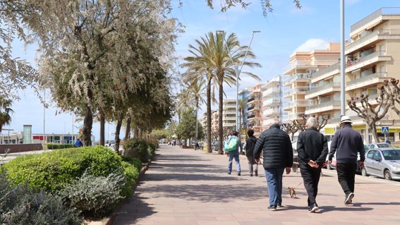 Baixen a 1.202 els grups escolars confinats 