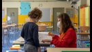 Educació publica les instruccions d'organització dels centres d'educació especial proveïdors de serveis i recursos