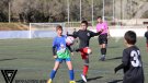 El Benjamí A de l'EFB El Vendrell segueix evolucionant partit rere partit