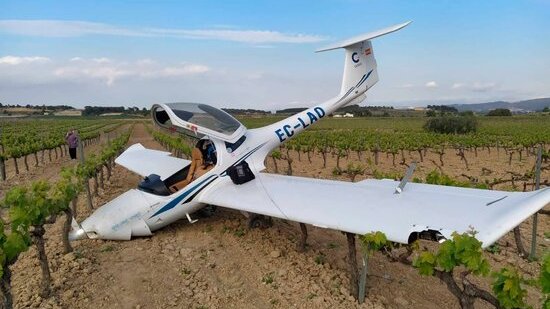 Una avioneta fa un aterratge d'emergència enmig d'unes vinyes del Baix Penedès