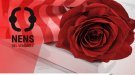 Sant Jordi amb els Nens del Vendrell