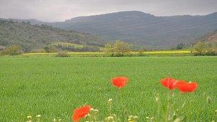 El Departament d'Agricultura efectua el darrer pagament dels ajuts directes dissociats de la PAC del 2020 per un import total d'11,4 M€