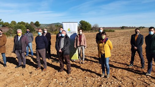 Els alcaldes del Baix Penedès insten el Govern a frenar la instal·lació de parcs fotovoltaics en terrenys agrícoles