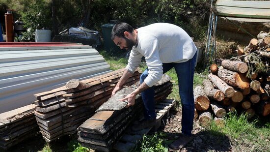 Impulsen un projecte per produir fusta d'alta qualitat en camps i boscos de Catalunya