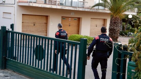Macrooperació de Mossos i Policia Nacional contra una xarxa que falsificava carnets de conduir amb informació de la DGT