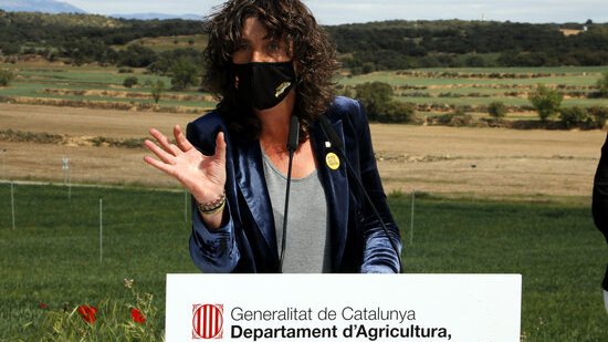 Pla mitjà on es pot veure la consellera d'Agricultura, Teresa Jordà, fent un parlament en l'acte de lliurament de les escriptures de propietat de finques de l'àmbit del Segarra-Garrigues a Agramunt, el 12 de maig de 2021