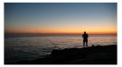 L'impacte econòmic de la pesca marítima recreativa sobre l'Economia Blava de Catalunya s'estima en 90 milions d'euros