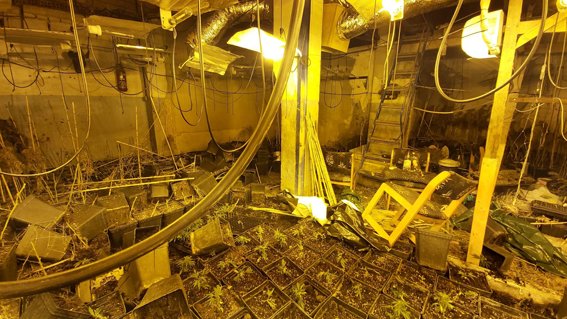 Dos detinguts per presumpte delicte contra la salut pública