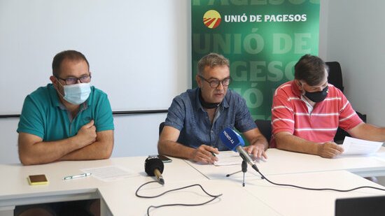 Unió de Pagesos exigeix a les administracions que intercedeixin en el preu de la llet que paguen les distribuïdores