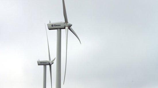 Els ecologistes reclamen aturar la tramitació dels projectes eòlics mentre es modifica el decret de les renovables