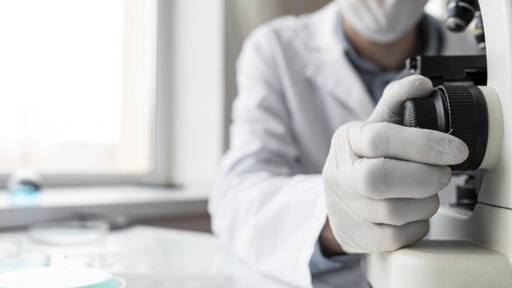 Tenir nivells més alts d'omega-3 en sang incrementa l'esperança de vida en gairebé cinc anys