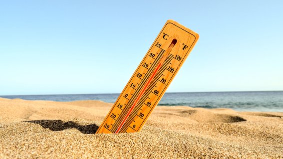 El Govern fa una crida als pagesos a llaurar els camps davant l'onada de calor