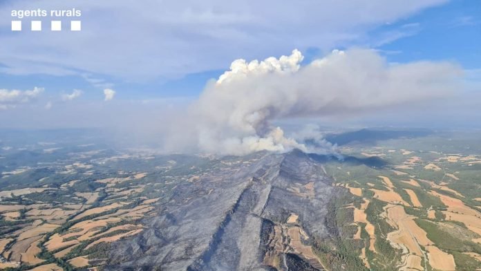 El govern espanyol declara zona catastròfica Catalunya i dotze comunitats que han patit incendis greus durant l’estiu