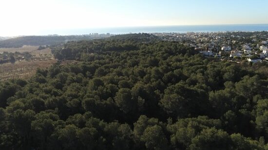 Ecologistes de Cunit convoquen una manifestació per aturar la urbanització d'un bosc autòcton de 91.000 m2