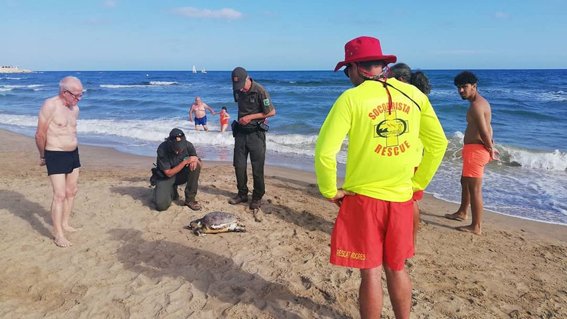 Valoració positiva del servei de socorrisme en una  temporada d’estiu sense cap ofegament