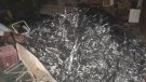 Els Mossos d’Esquadra desarticulen un grup criminal especialitzat en el robatori de cable telefònic al Baix Camp i el Priorat