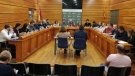 Acords del Ple extraordinari
