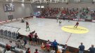 Derrota del Club d'Esports Vendrell en l'estrena a l'OK Lliga Plata Nord davant la seva afició