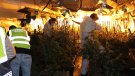 Desarticulen al Baix Penedès una organització criminal 