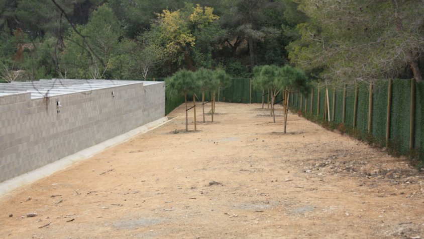 Calafell tindrà un centre d'acollida de gossos per defensar dones maltractades i avis que visquin sols
