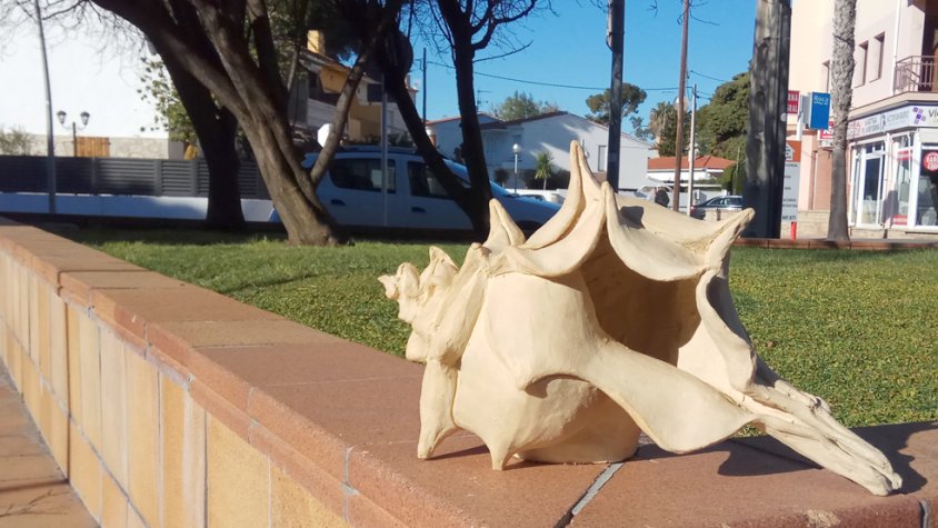 Apareix un cargol de mar davant de l’Oficina de Turisme de Coma-ruga