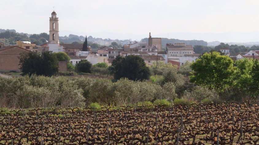 Es demana 28 anys de presó per a dues persones acusats de matar la sogra d'un d'ells