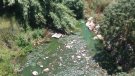 El Consell Comarcal del Baix Penedès espera els resultats de les analítiques per evaluar els fets ocorreguts i prendre les mesures escaients