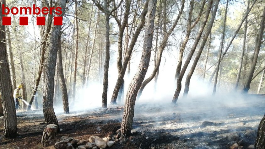 Interior demana la màxima col·laboració ciutadana davant les temperatures extremes dels pròxims dies i l'elevat risc d'incendis