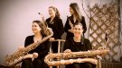 El Cicle de Música als Jardins al Museu Pau Casals! 