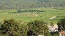 Una caminada per la vinya penedesenca amb visita al Celler Entrevinyes, un dels actes destacats de la 9a Enramada