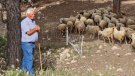 Es recupera l'antiga carrerada que uneix la costa penedesenca amb l'interior per preservar la memòria històrica i com un nou atractiu turístic de la Marca Penedès