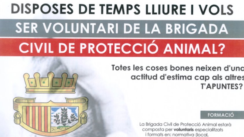 L'Arboç busca voluntaris per a la nova Brigada Civil de Protecció Animal