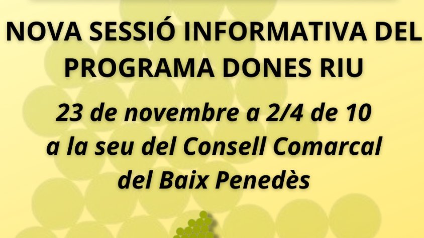 Nova sessió informativa del Consell Comarcal del Programa Dones Riu