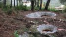 Neix la Xarxa de Custòdia Agrària del Baix Penedès, en defensa d’una economia “respectuosa amb el patrimoni natural”
