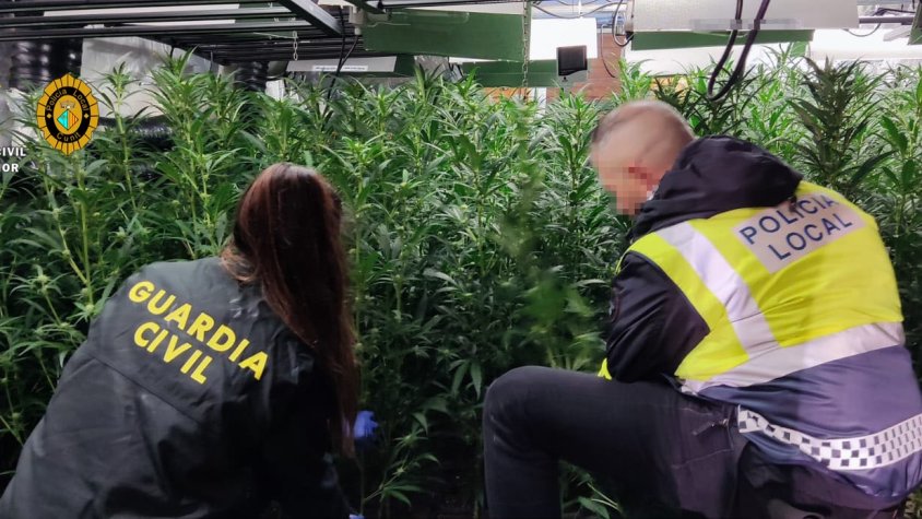 Operació Rulot: la Guàrdia Civil i la Policia Local de Cunit desarticulen una plantació de marihuana indoor