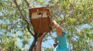 El GEPEC-EdC instal·la més de 200 refugis per fauna durant el 2022 