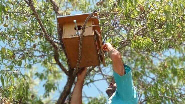 El GEPEC-EdC instal·la més de 200 refugis per fauna durant el 2022 