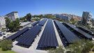 El Govern recomana fomentar la diversitat per reduir un 30% el temps de tramitació de projectes fotovoltaics