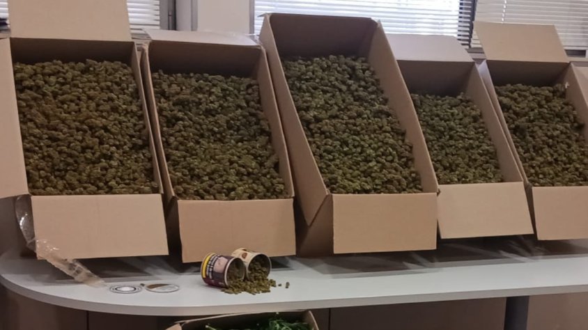 Els Mossos d’Esquadra detenen tres homes i desmantellen una plantació indoor de marihuana al Vendrell