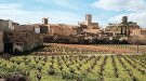 Èxit rotund del projecte pilot de protecció de l’oreneta cuablanca a Banyeres